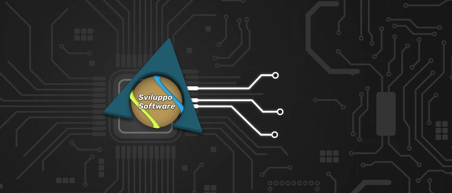 Sviluppo software